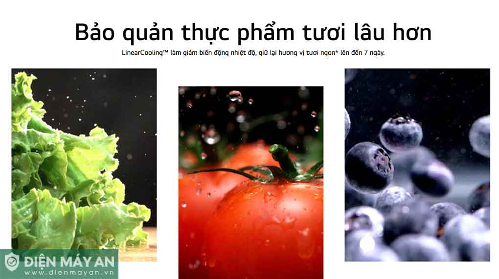 Tủ Lạnh LG Inverter 266 Lít T26BG